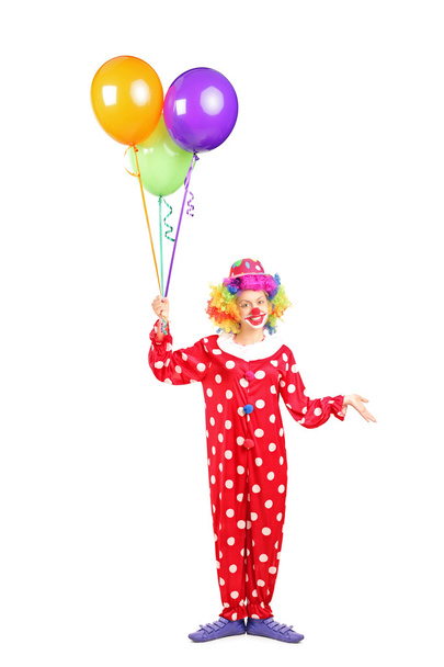 Female clown - 写真・画像