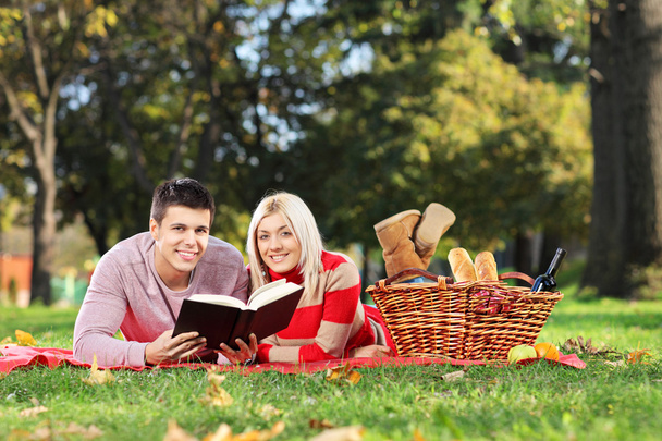 Couple reading book in park - Photo, image