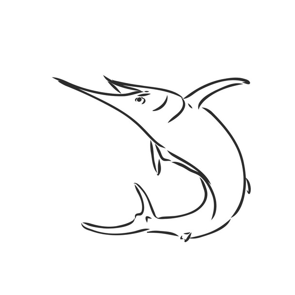 Marlin, Schwertfischzentangel stilisiert, Vektor, Illustration, Freihandstift, handgezeichnet, Muster. - Vektor, Bild