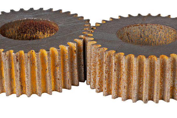 pair of equal rusted gears cutted with waterjet machine - Fotoğraf, Görsel