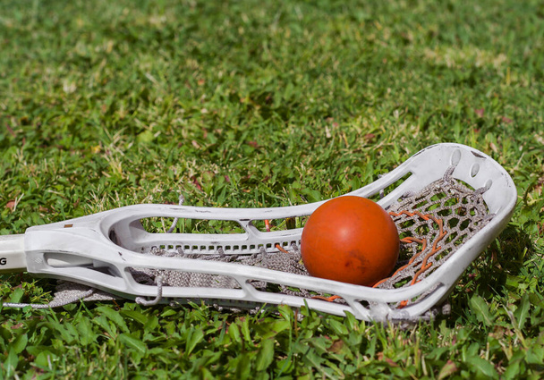 Lacrosse stick and red ball on the grass background. Lacrosse is - Photo, Image