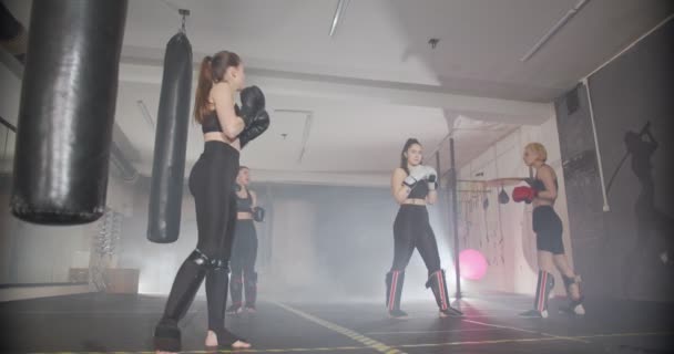 τέσσερα κορίτσια προετοιμασία για την πυγμαχία στο γυμναστήριο - Πλάνα, βίντεο