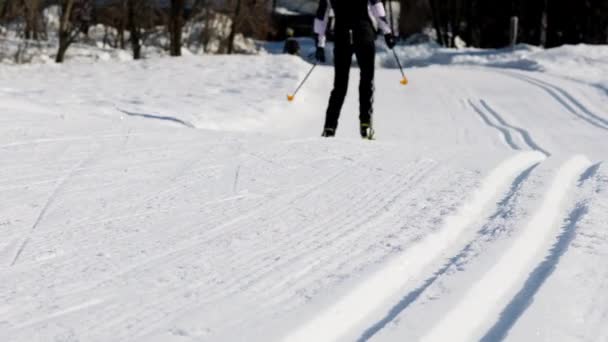 Ihmiset hiihtävät pienessä itävaltalaisessa kylässä - Materiaali, video