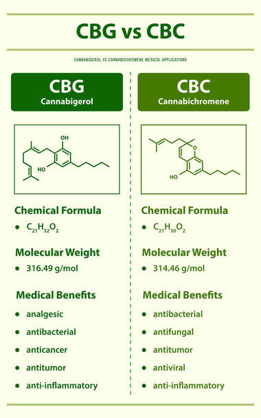 CBG vs CBC, Cannabigerol vs Cannabichromene ilustração infográfica vertical sobre cannabis como fitoterápicos medicina alternativa e terapia química, saúde e vetor de ciência médica. - Vetor, Imagem