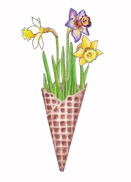 白い背景に孤立したアイスクリームのためのカップに黄色とライラックのダフォジルの水彩イラスト - 写真・画像