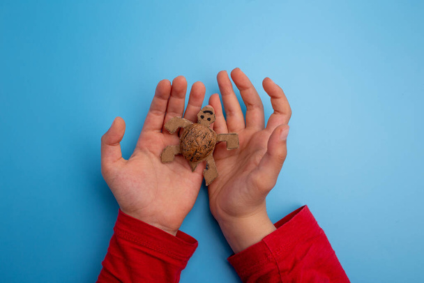 ремісничі волоські горіхи, черепаха, природні ремесла для дітей, концепція осені або осені
 - Фото, зображення
