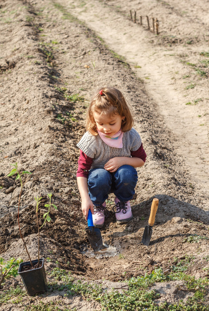 Sebze bahçesinde çalışan küçük kız - Fotoğraf, Görsel