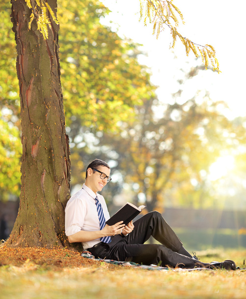 Male reading a book in park - 写真・画像
