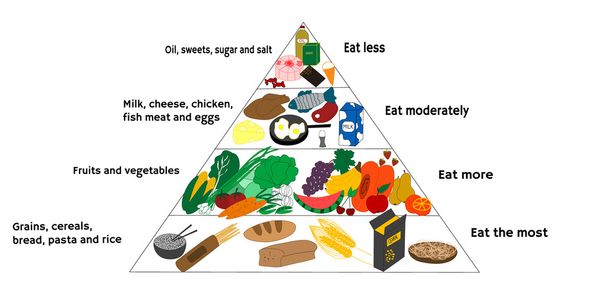 Lebensmitteldiagramm - Vektor, Bild