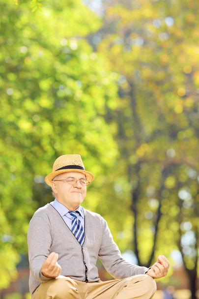 Senior gentleman meditating in a park - Fotografie, Obrázek