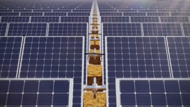 Solar panels. Loopable animation. 4K. - Footage, Video