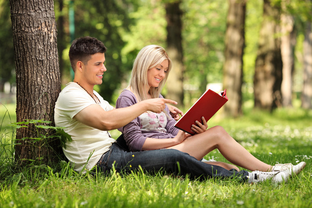 Boyfriend and girlfriend reading a book in a city park - Foto, imagen
