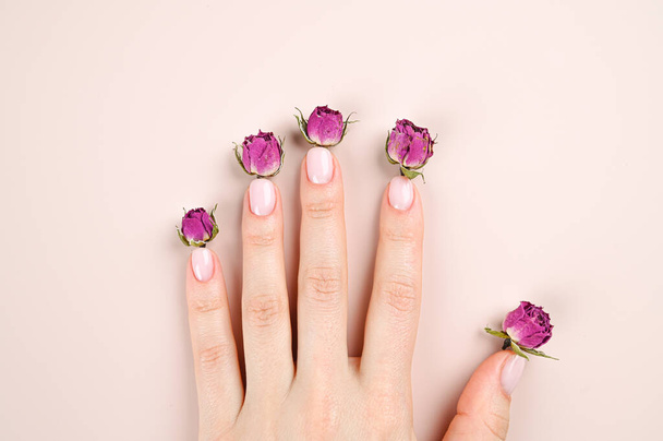 Nude close-up nail design, modern shape. Making stylish tender manicure. High quality photo - Photo, Image