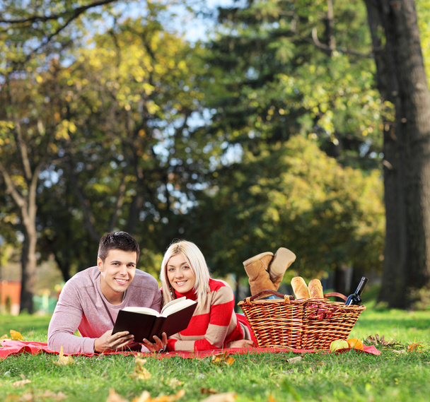 Couple reading book in park - Photo, image