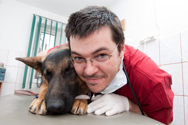 cute dog at vet clinic - Fotó, kép
