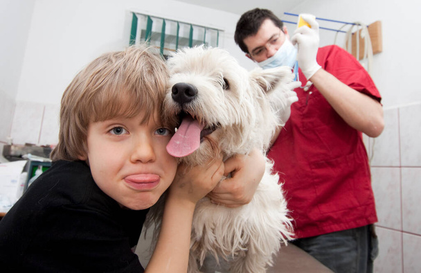 Petit garçon tenant sa Westie chez le vétérinaire
 - Photo, image