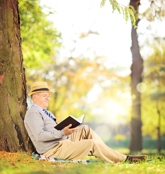 Senior man reading a book in park - Photo, image