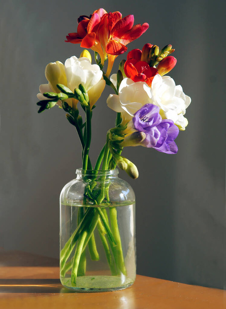 posy  multicolor flowers of freesia close up - Zdjęcie, obraz