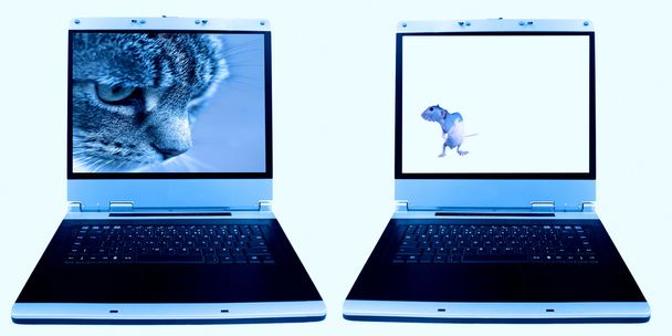 Пара ноутбуков с изображениями кошки и мыши
 - Фото, изображение