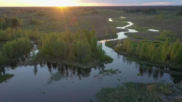 A víz a gát tó Ao Észtország - Felvétel, videó