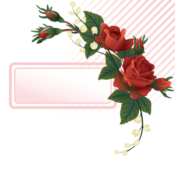 Roses background with pink lines - Vector, Image