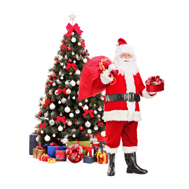 Santa Claus with bag - Valokuva, kuva