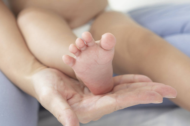 baby feet in hands of a young mother  - Foto, Bild
