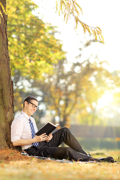 Male  reading a book in park - Photo, image