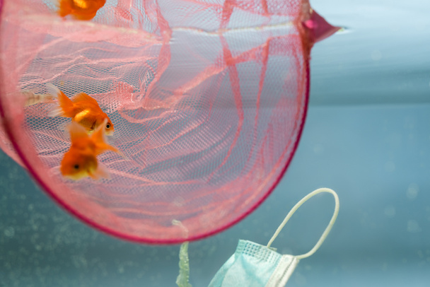 peces de colores cerca de la red y máscara médica en el agua, concepto de ecología - Foto, Imagen
