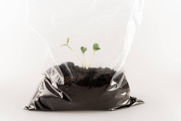 gleba z młodymi roślinami w plastikowej torbie na białej, ekologicznej koncepcji - Zdjęcie, obraz