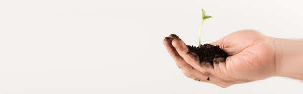 частковий вид чоловічої руки з молодою рослиною ізольовано на білому, концепція екології, банер
 - Фото, зображення