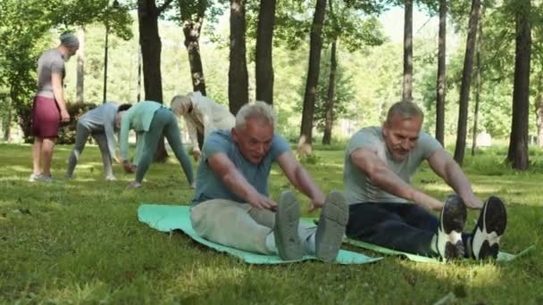 Amplio plano de dos guapos deportistas caucásicos envejecidos sentados en colchonetas de yoga en el parque, estirándose y teniendo una agradable charla - Metraje, vídeo