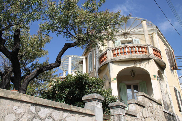 Antigua casa francesa con olivo - Foto, Imagen