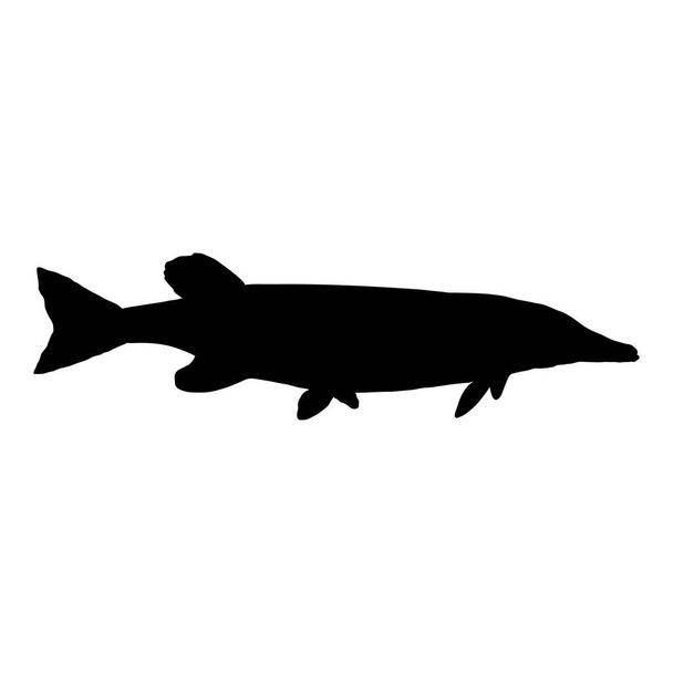 Пайк Силуэт Векторная иллюстрация рыбы. Вид сбоку. - Вектор,изображение