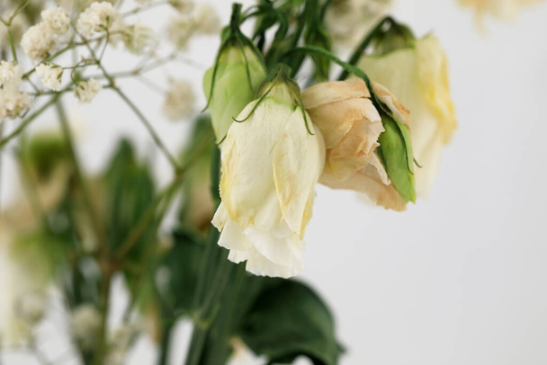Букет з маленьких зів'ялих троянд
 - Фото, зображення