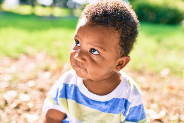 公園で草の上に座っている愛らしいアフリカ系アメリカ人の幼児. - 写真・画像