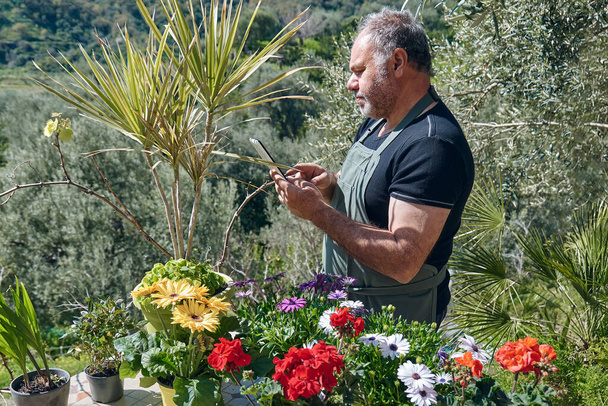 Gärtner bedient sich eines Tablets, um die Bestellung im Blumenladen im Freien entgegenzunehmen. Blumenlieferung, Gartenarbeit. - Foto, Bild