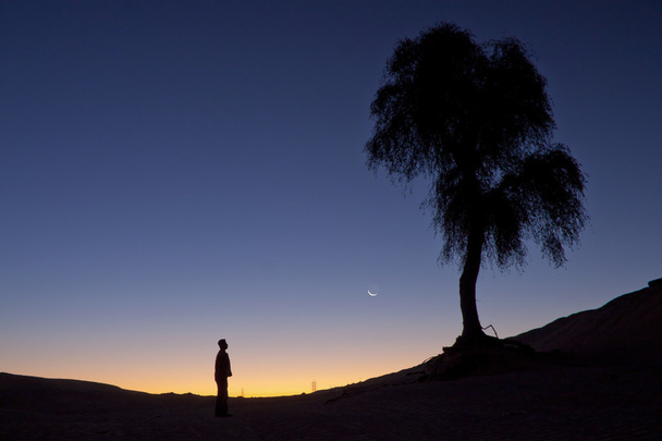 Silhouette d'un homme debout seul près d'un arbre face au croissant au crépuscule
. - Photo, image