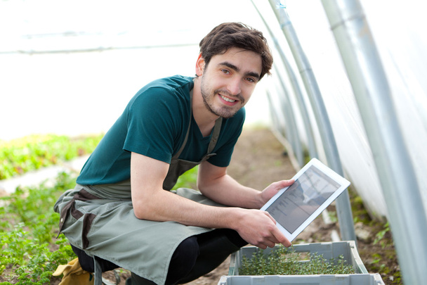 Young business farmer working on his tablet - Foto, Imagen