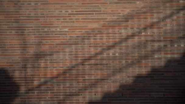 Egy fiatal nő árnyéka fut fel a lépcsőn.. - Felvétel, videó