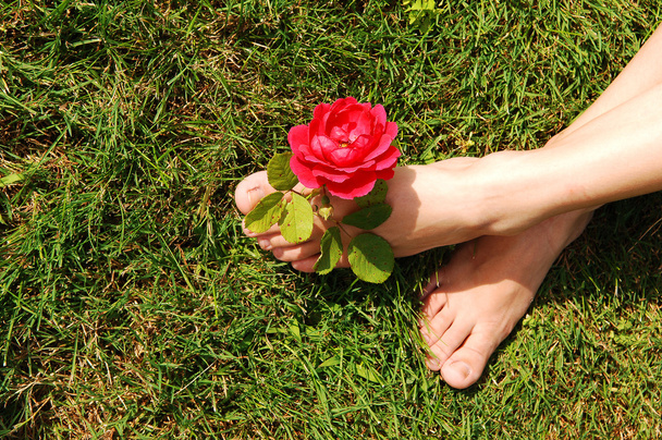 Os pés de uma jovem mulher, sentada na grama com uma rosa vermelha entre os dedos dos pés
. - Foto, Imagem