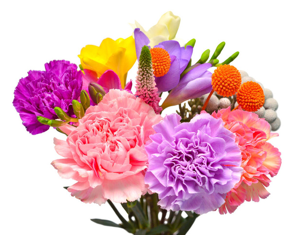 花束の花のフリージア、カーネーション、百科事典とヴェロニカは白い背景に隔離されています - 写真・画像