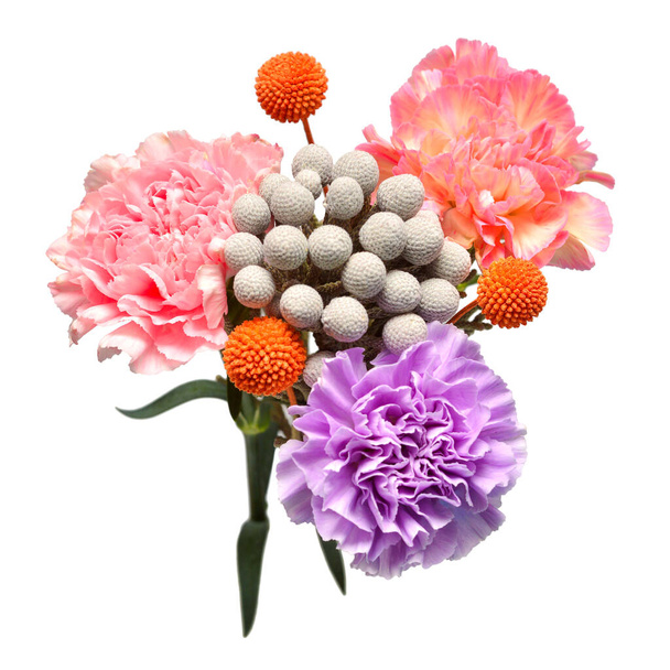 Bukiet goździk kwiat, craspedia, brunia laevis izolowane na białym tle. Płaskie ułożenie, widok z góry - Zdjęcie, obraz