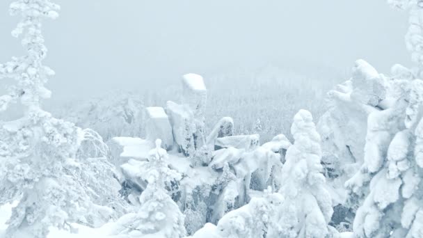 Panorama górskiej doliny pokrytej śniegiem - Materiał filmowy, wideo