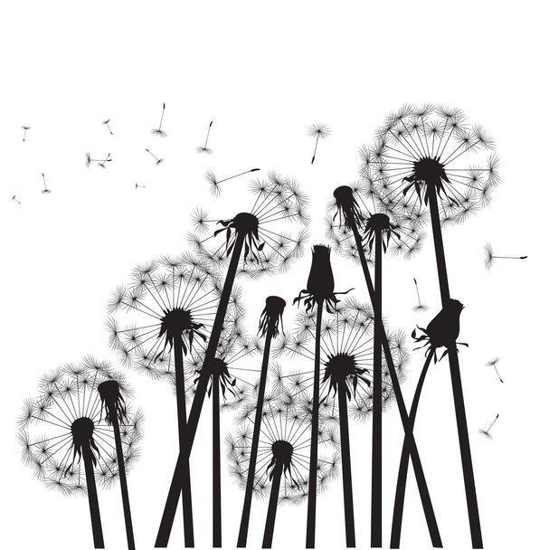 groep van zwarte paardebloemen op witte achtergrond - Vector, afbeelding
