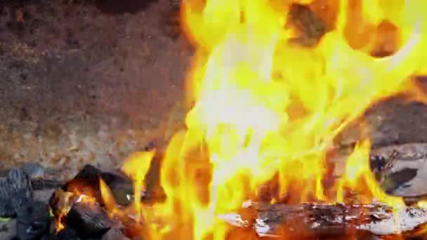 Węgiel drzewny przygotować do grilla żywności węgle opalane na gorąco w popiele - Materiał filmowy, wideo