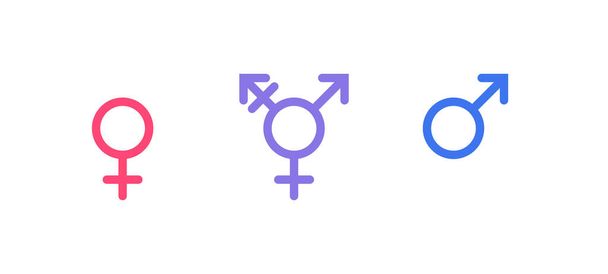 Gleichberechtigung und Diversitätskonzept. Vektorflaches Illustrationsset. Mann, Frau und Transgender-Symbol isoliert auf weißem Hintergrund. Gestaltungselement - Vektor, Bild