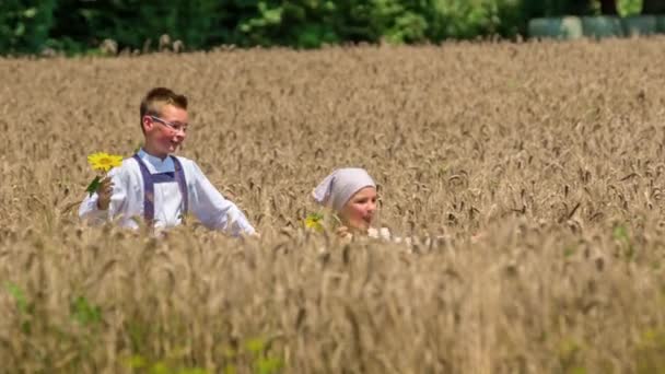 Hermano y hermana saltando por el campo de trigo sosteniendo girasoles. Moción lenta - Metraje, vídeo
