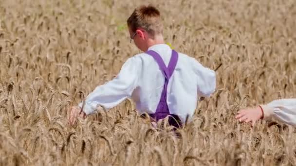 Dvě děti běží přes pšeničné pole s pažemi ven a drží slunečnici v pomalém pohybu - Záběry, video