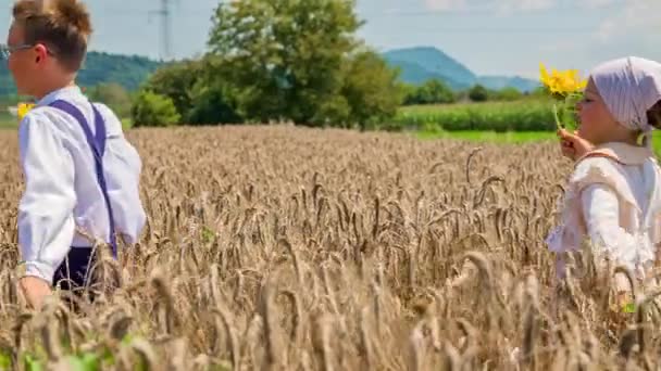 Двоє дітей безтурботно крізь пшеничне поле тримають соняшники
 - Кадри, відео